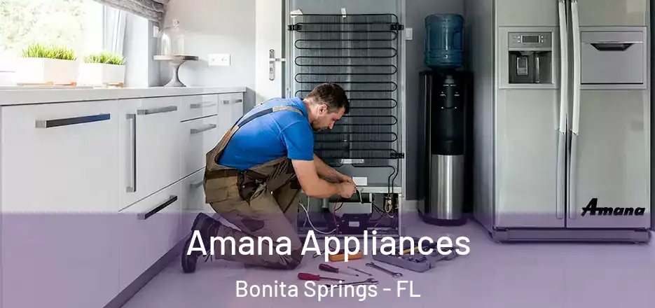  Amana Appliances Bonita Springs - FL