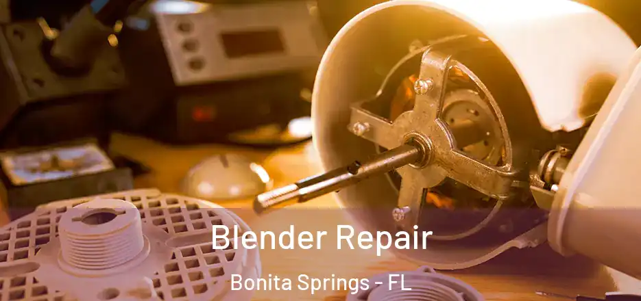 Blender Repair Bonita Springs - FL