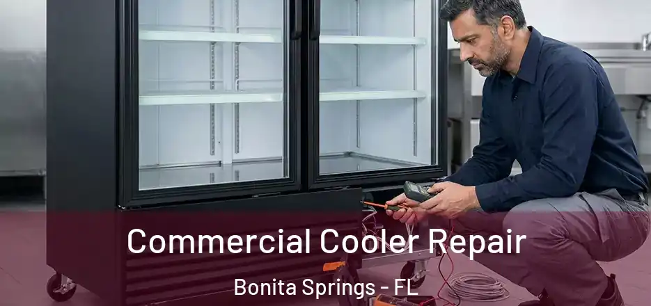 Commercial Cooler Repair Bonita Springs - FL