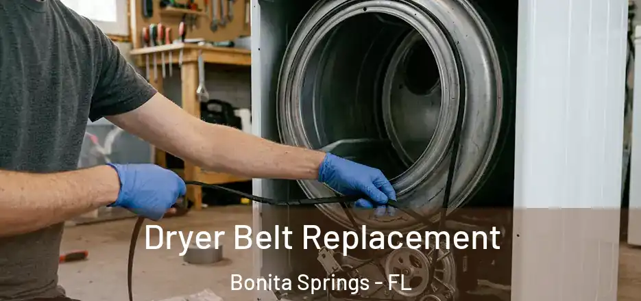  Dryer Belt Replacement Bonita Springs - FL