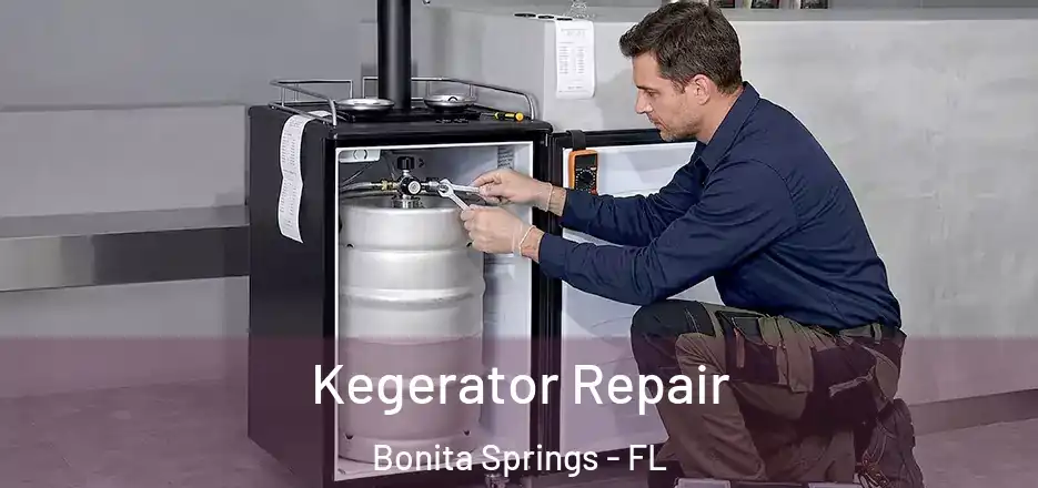 Kegerator Repair Bonita Springs - FL