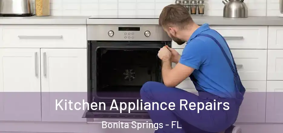 Kitchen Appliance Repairs Bonita Springs - FL
