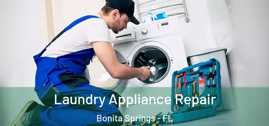 Laundry Appliance Repair Bonita Springs - FL