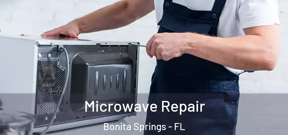 Microwave Repair Bonita Springs - FL