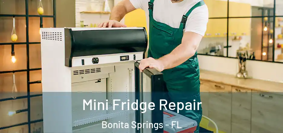 Mini Fridge Repair Bonita Springs - FL