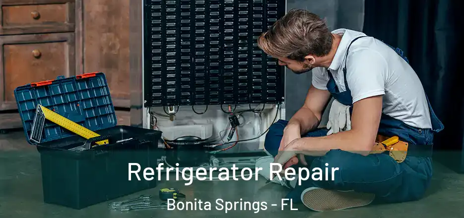  Refrigerator Repair Bonita Springs - FL