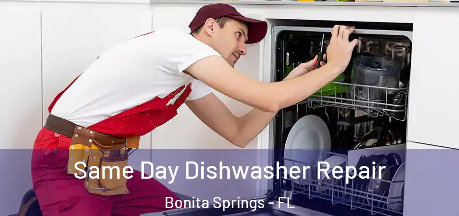 Same Day Dishwasher Repair Bonita Springs - FL
